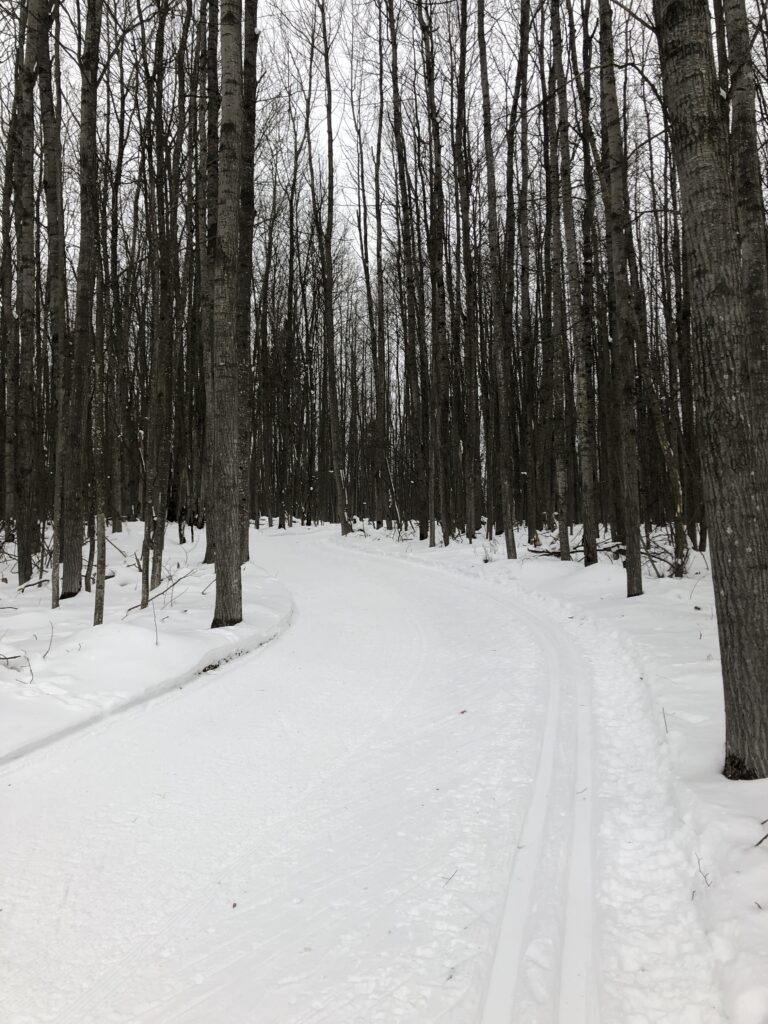 Great Trail Conditions XC Skiing Cross Country Ski Headquarters