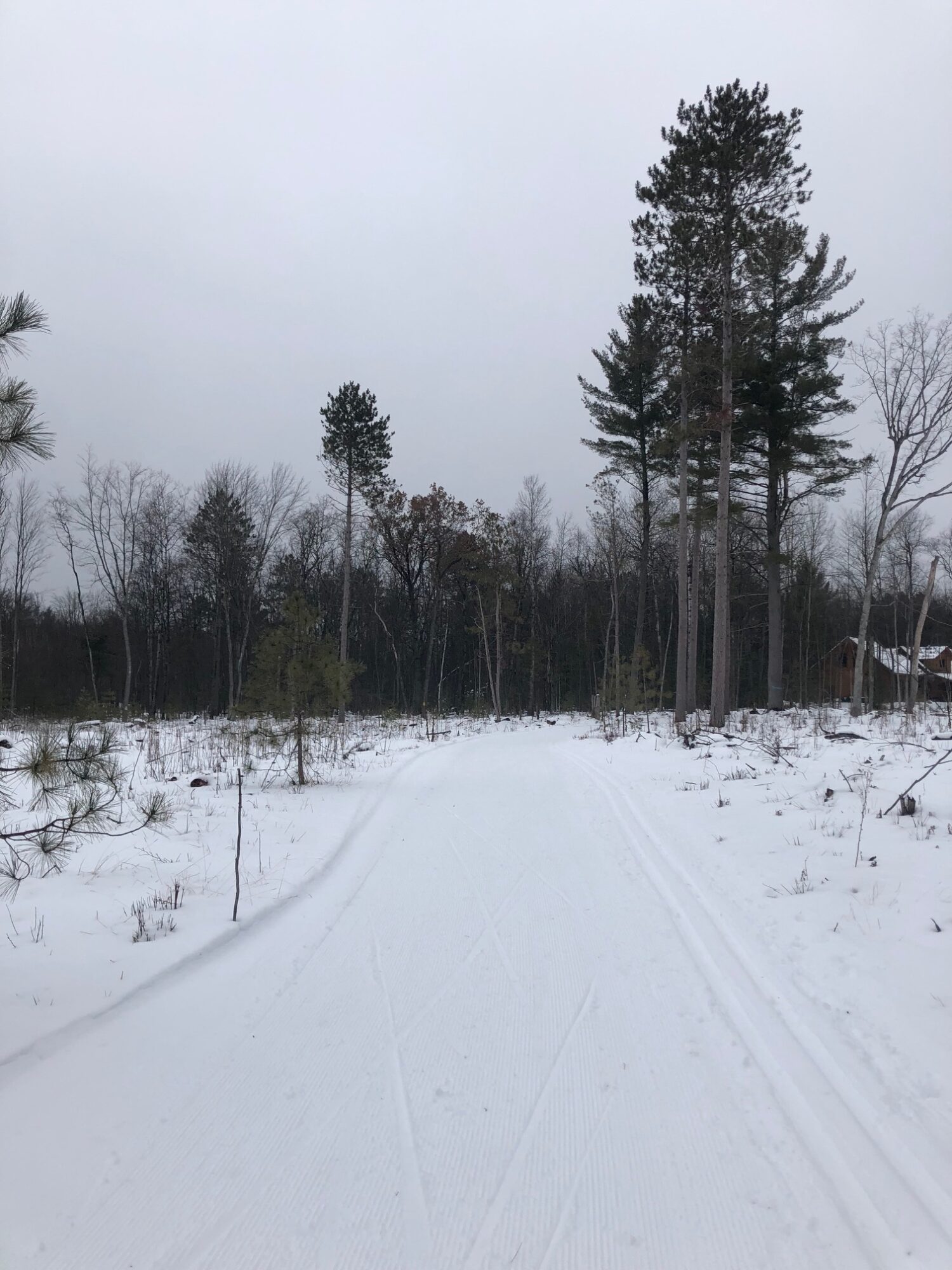 Cross Country Ski Report Friday, January 26th Cross Country Ski