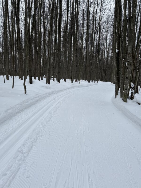 Excellent conditions XC Ski HQ groomed cross country ski trails