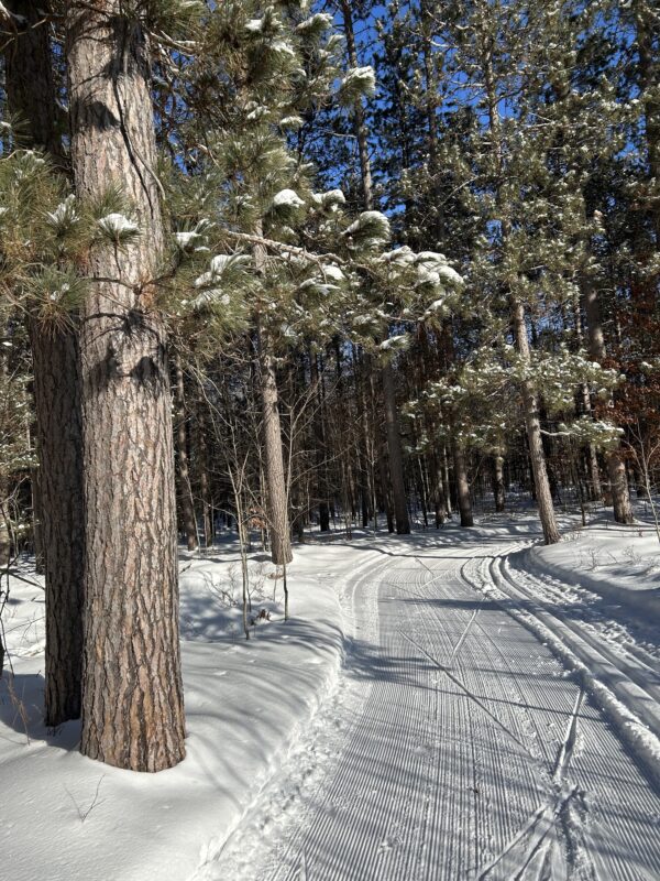 excellent conditions cross country ski headquarters