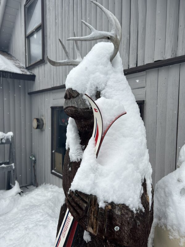 snowy bear moose xc ski hq