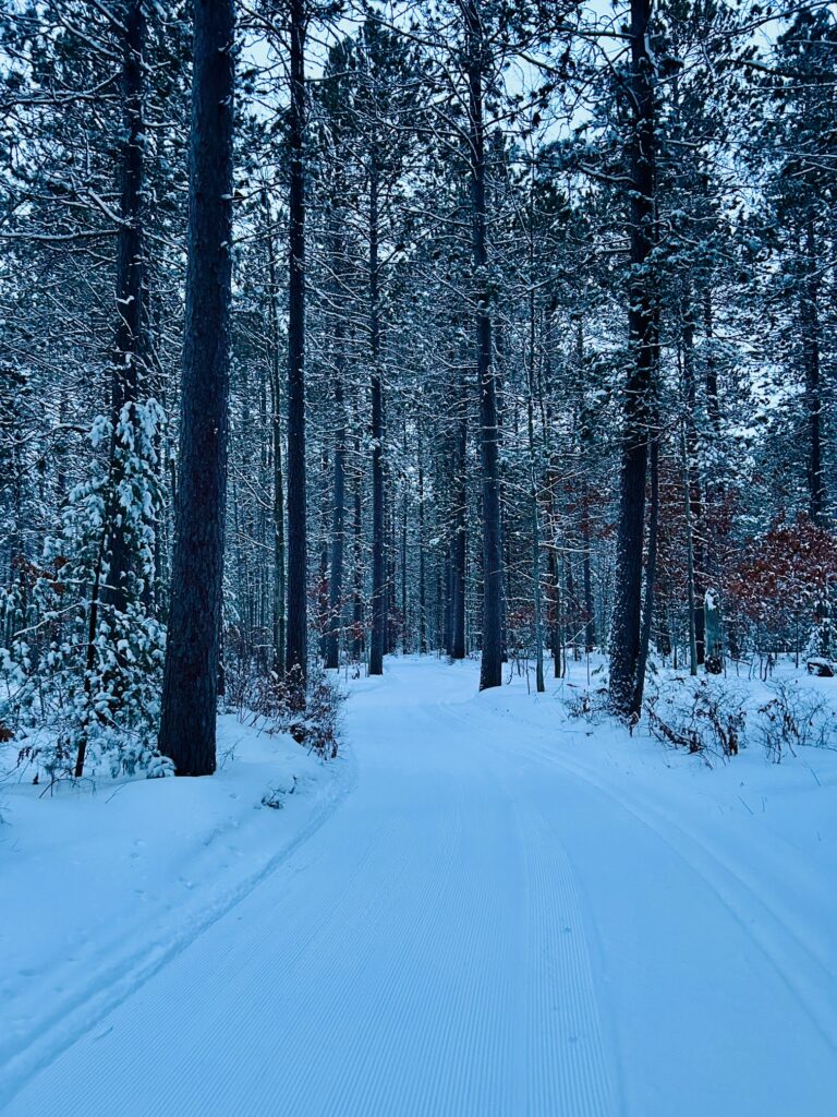 Tall Pines Excellent Conditions Cross Country Ski Headquarters