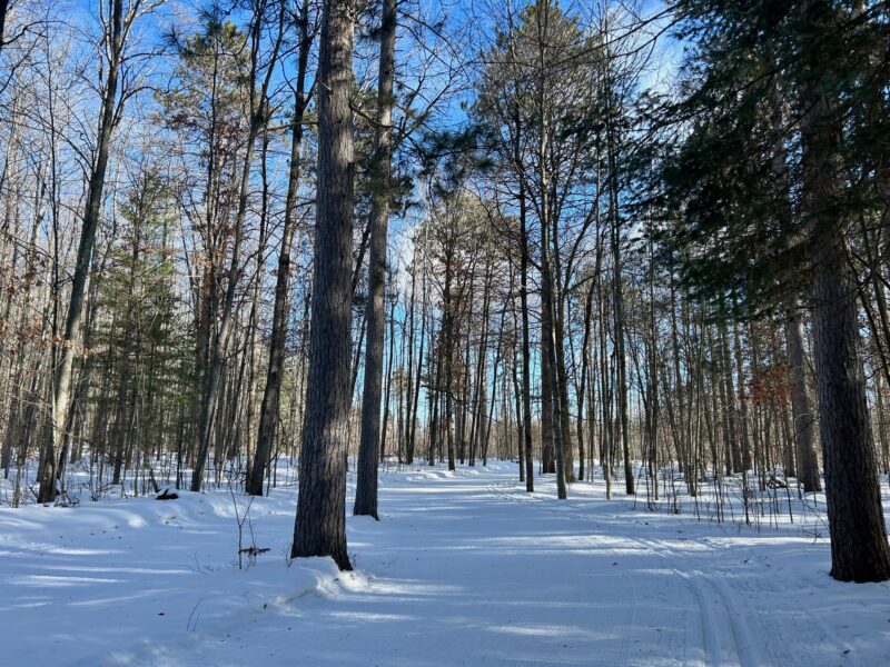 Beautiful XC Ski Conditions XC Ski HQ